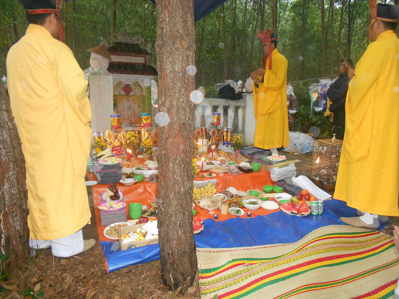 Tạ tam sanh và phối hưởng 25/3 âm lịch 2014 - ảnh 12