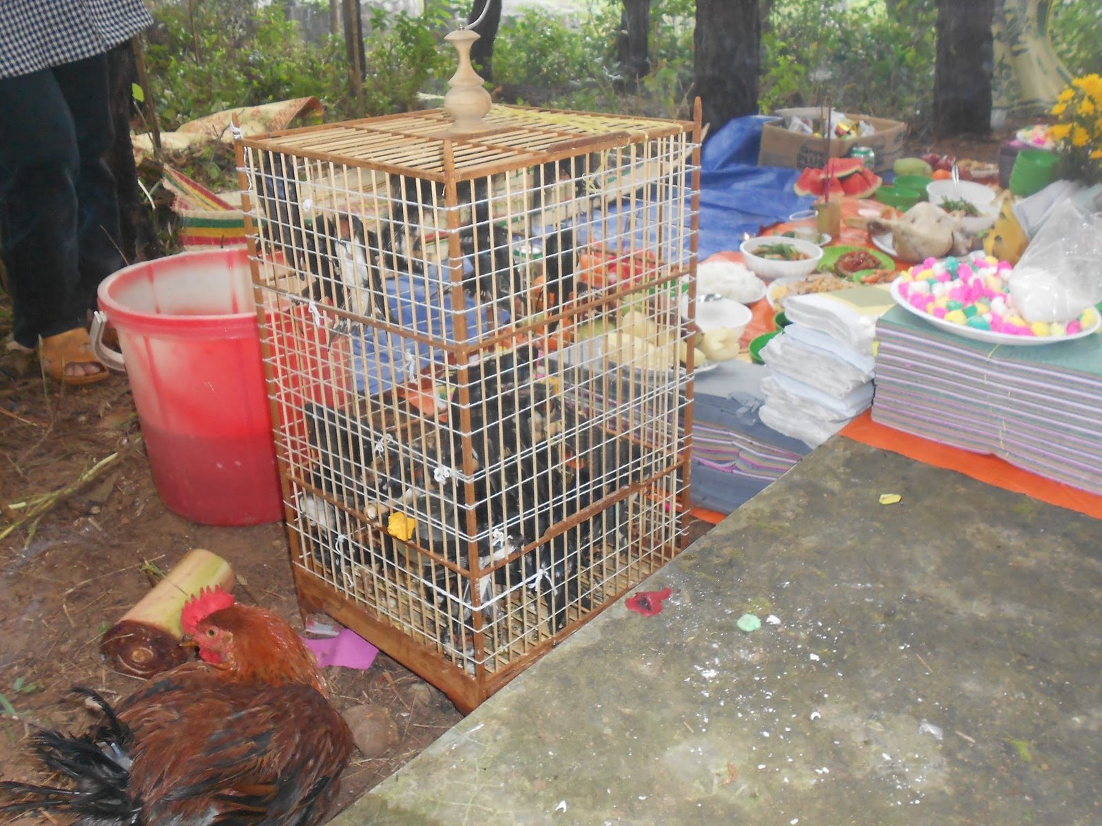 Tạ tam sanh và phối hưởng 25/3 âm lịch 2014 - ảnh 15