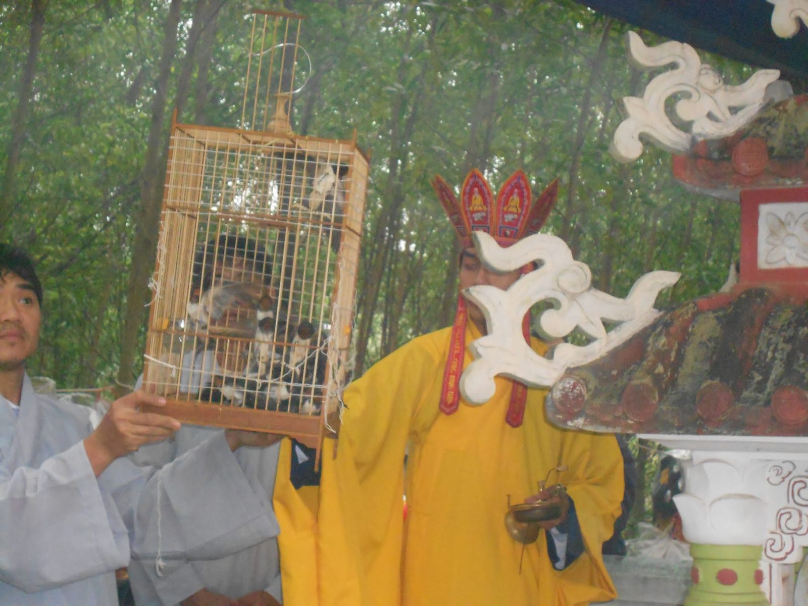 Tạ tam sanh và phối hưởng 25/3 âm lịch 2014 - ảnh 19